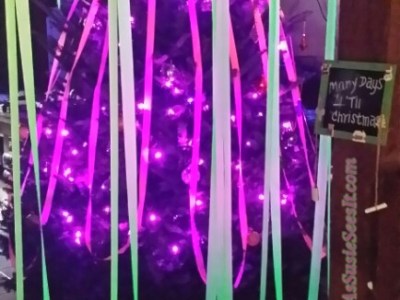 Amanda’s Visit at Christmas 2016