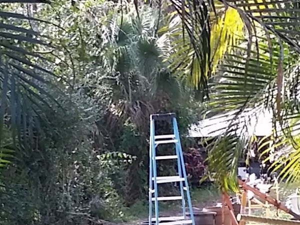 Let No One be Left Behind