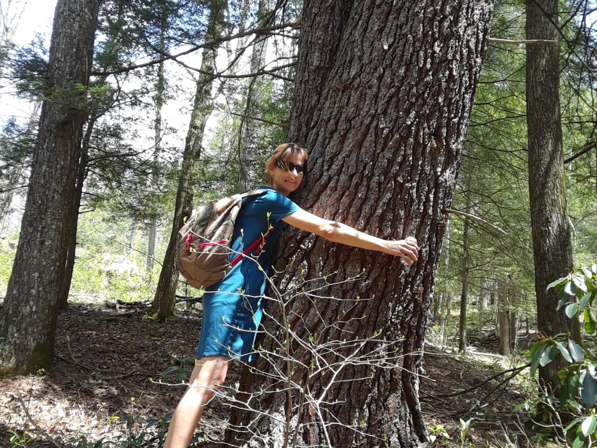 The Rock Star Tour of 2018