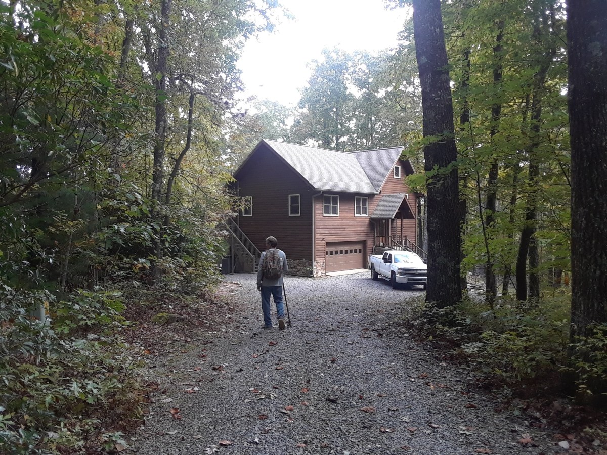 Trippin in Transylvania