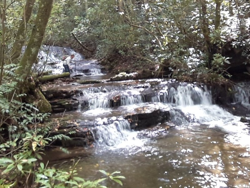 We Make Plans and God Ponders