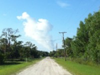 Which Way’s the Wind Blowin?