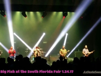 Reel Big Fish at the Fair